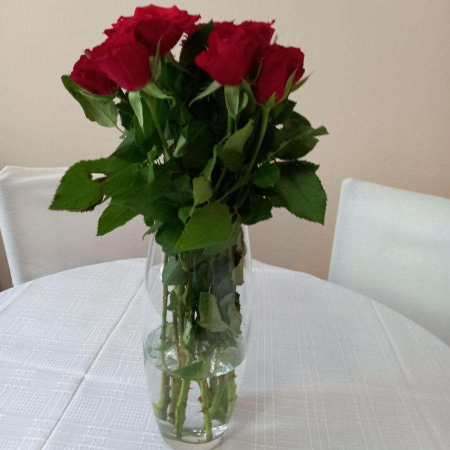 Apartment Rivijera